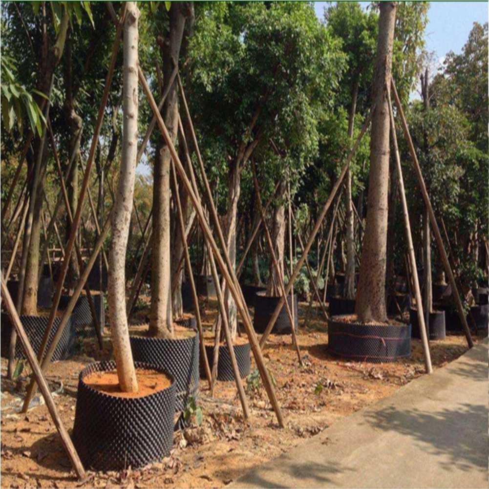 Vaso de Viveiro para Crescimen - Outdoor Furniture avaliação e preço